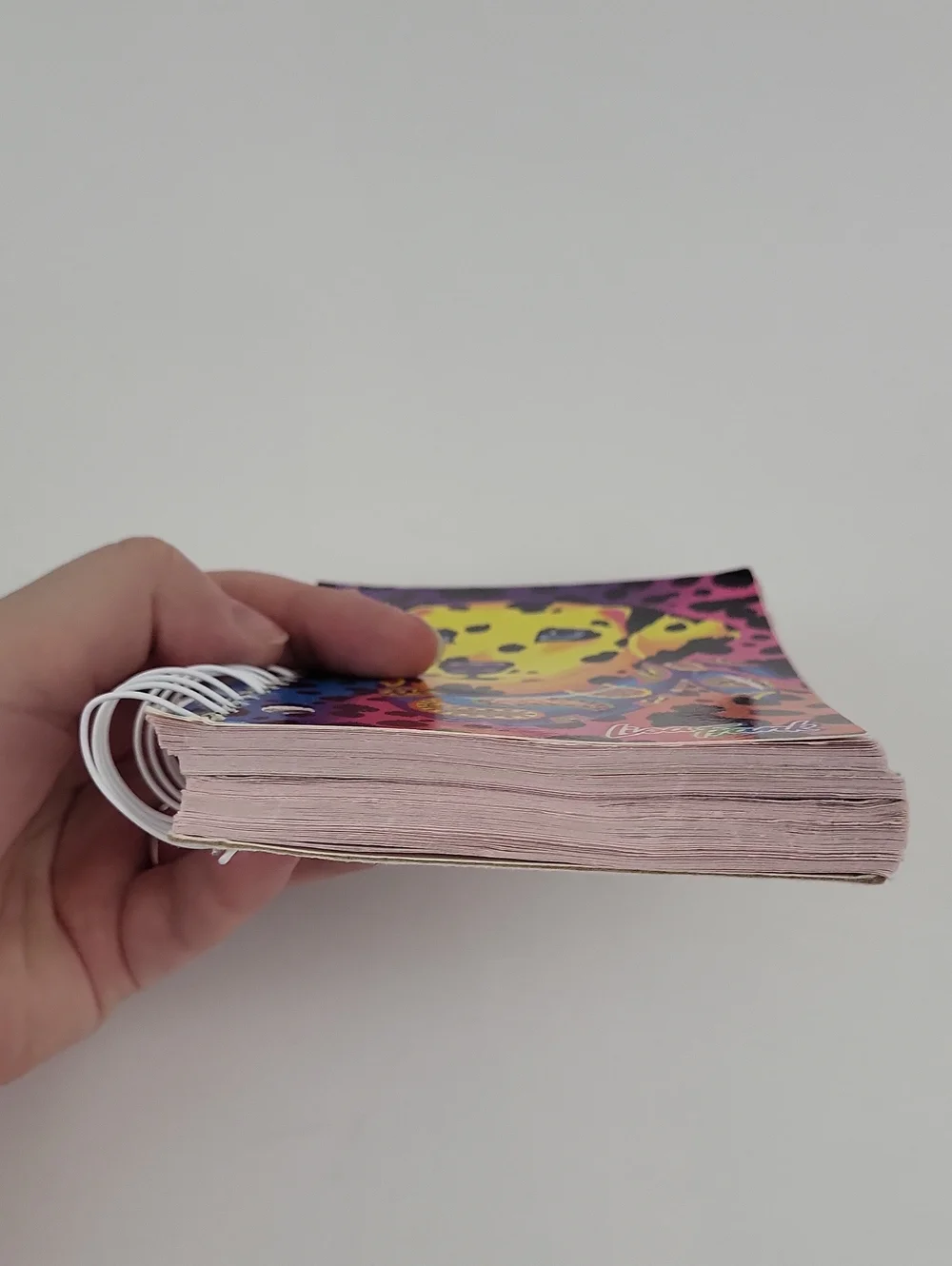 Vtg Lisa Frank Big Little Notebook Spiral
